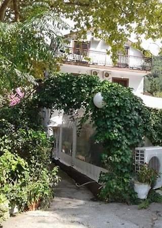 Pansion Mimoza Bed & Breakfast Herceg Novi Exterior photo