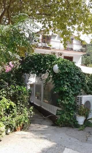 Pansion Mimoza Bed & Breakfast Herceg Novi Exterior photo