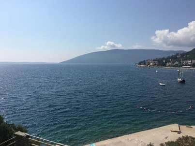 Pansion Mimoza Bed & Breakfast Herceg Novi Exterior photo